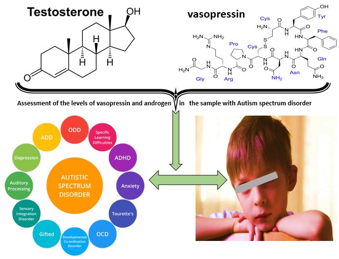 Assessment of the levels of vasopressin and androgen in the sample of Iraqi children with Autism spectrum disorder 