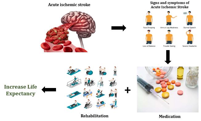 An outlook study on the combination of pharmacotherapy and physical rehabilitation for clinically significant acute ischemic stroke patients 